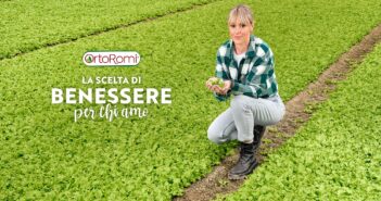 OrtoRomi: +14,2% nel 2021, bene la IV gamma con le ciotole “Pausa Pranzo”