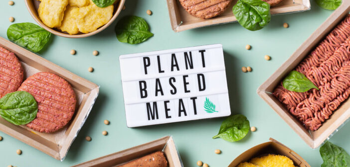 Formaggio plant-based: un mercato in costante espansione, varrà 7 miliardi  di dollari entro il 2030 - VEGANOK