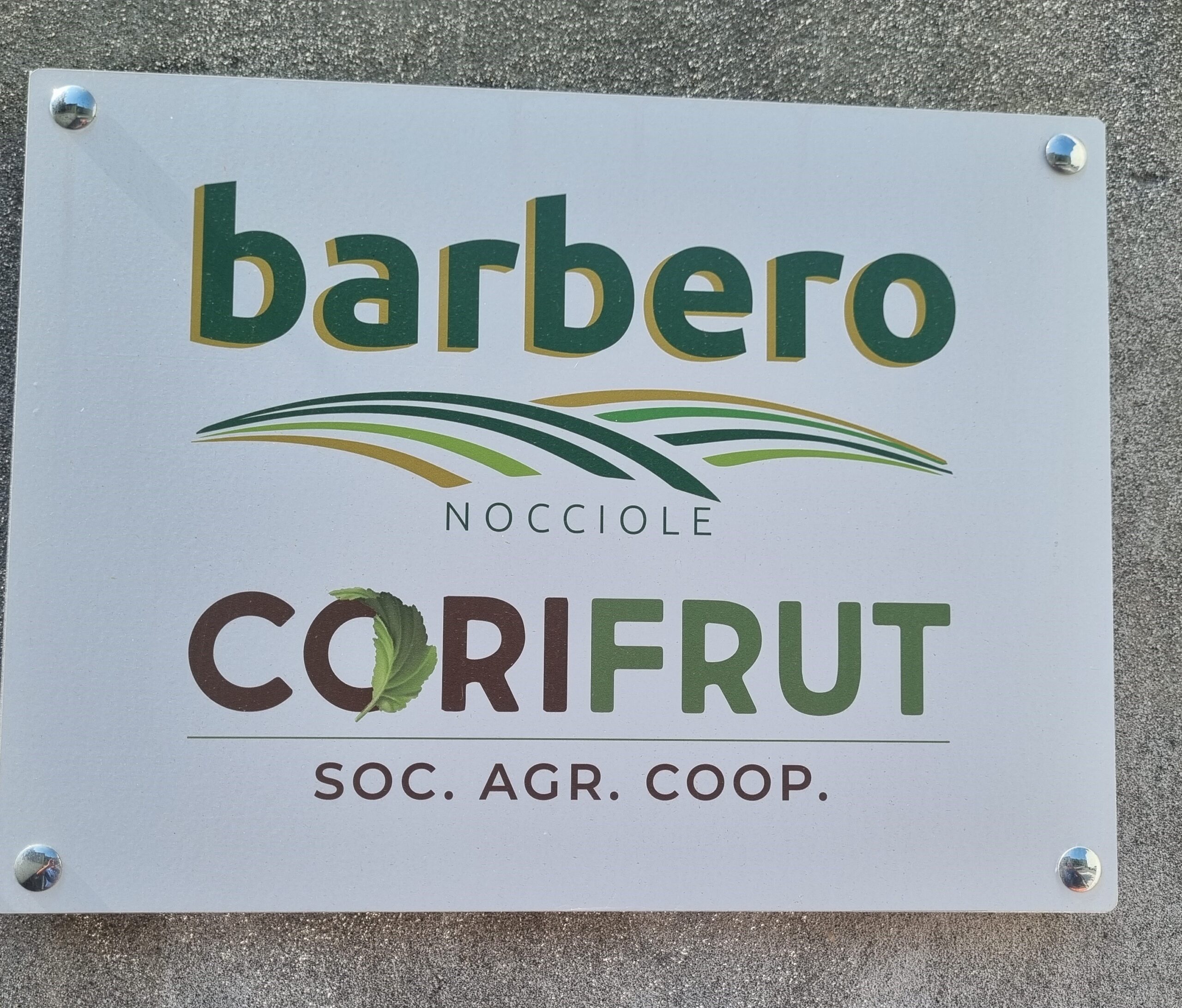 IN PIEMONTE NASCE BARBERO SPA, UN COLOSSO DELLE NOCCIOLE CON LA COOP CORIFRUT