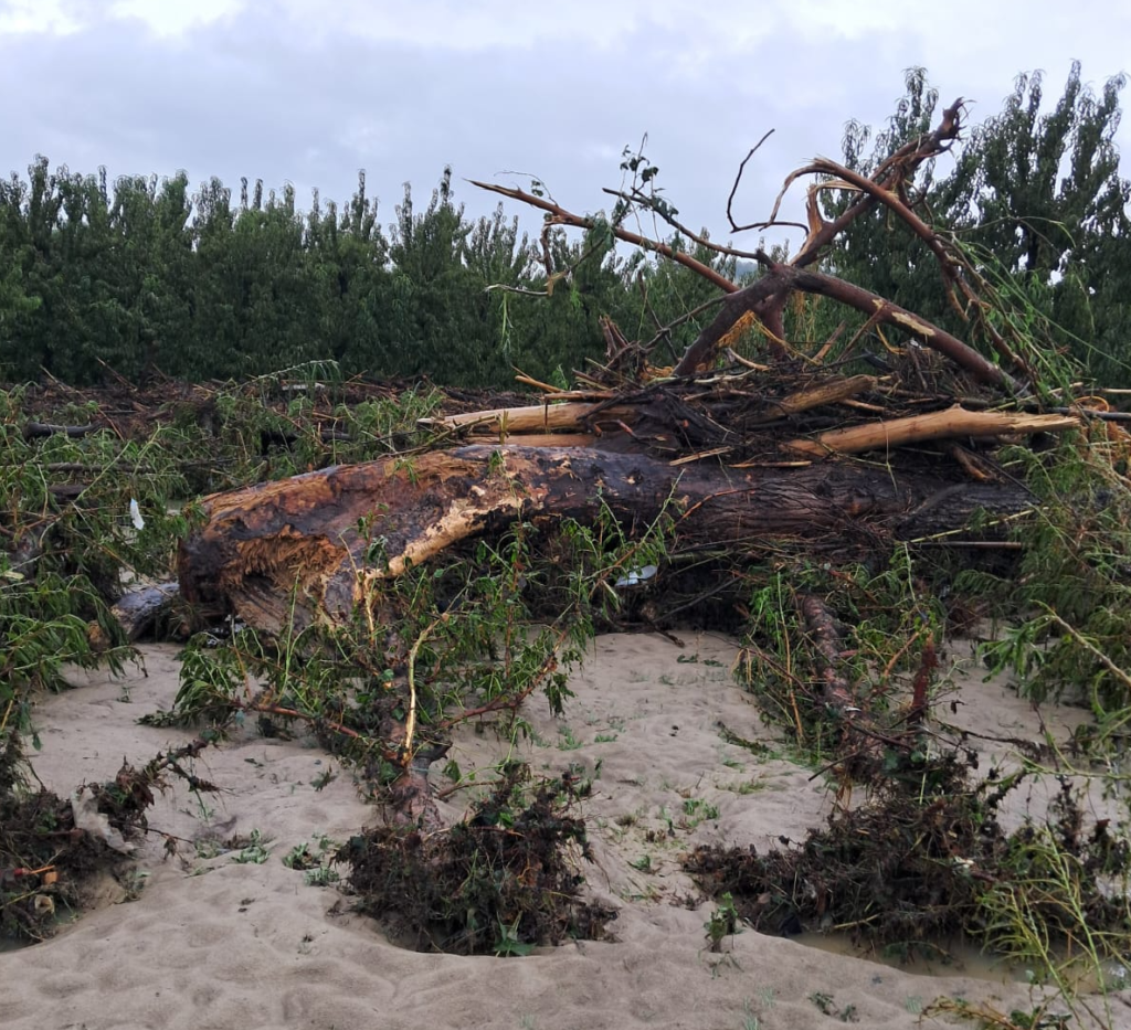 ALLUVIONE, LA RABBIA DI DALMONTE: “NESSUNA MANUTENZIONE DAL MAGGIO 2023”