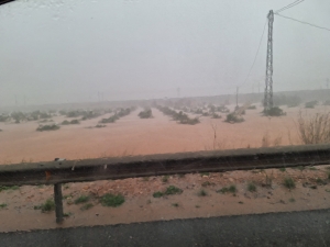 ALLUVIONE, SPAGNA DEVASTATA: ALMENO 95 MORTI. AGRICOLTURA IN GINOCCHIO, ALLAGATI MIGLIAIA DI ETTARI